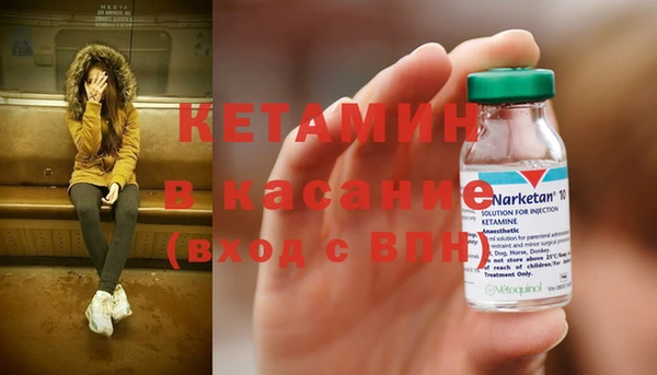 крисы Дмитровск
