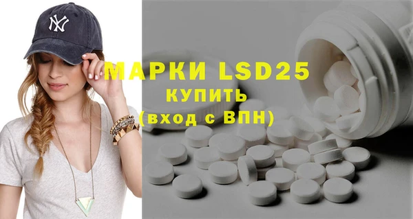 шишки Елабуга