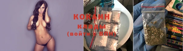 ПСИЛОЦИБИНОВЫЕ ГРИБЫ Елизово