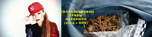 скорость Дмитриев