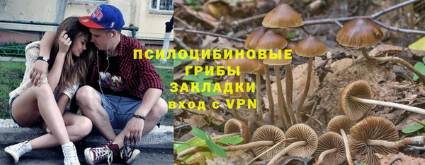 ПСИЛОЦИБИНОВЫЕ ГРИБЫ Елизово