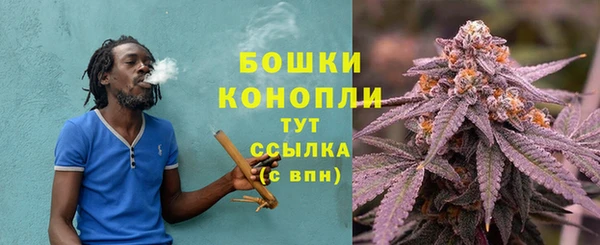 крисы Дмитровск